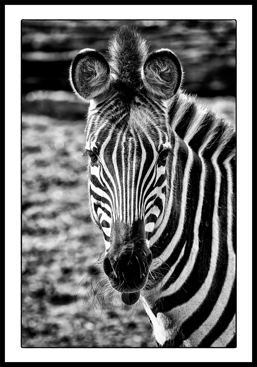 Testfoto Bildunterschrift